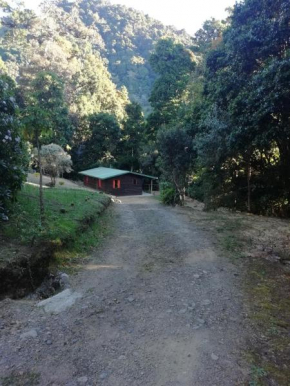 Hotels in San Gerardo De Dota